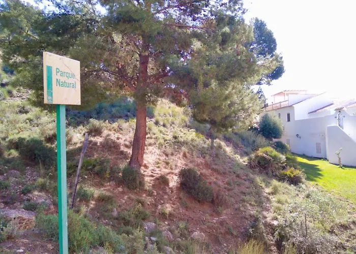 Апартаменти El Capistrano Guy P. Way *